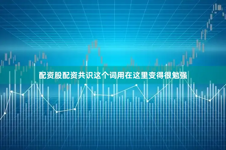 配资股配资共识这个词用在这里变得很勉强